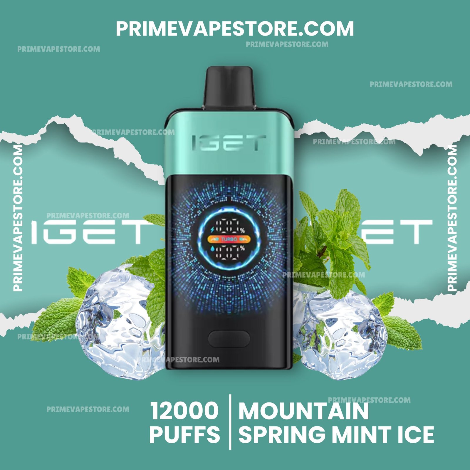 Iget One 12000 Puffs Mountainspring Mint Ice